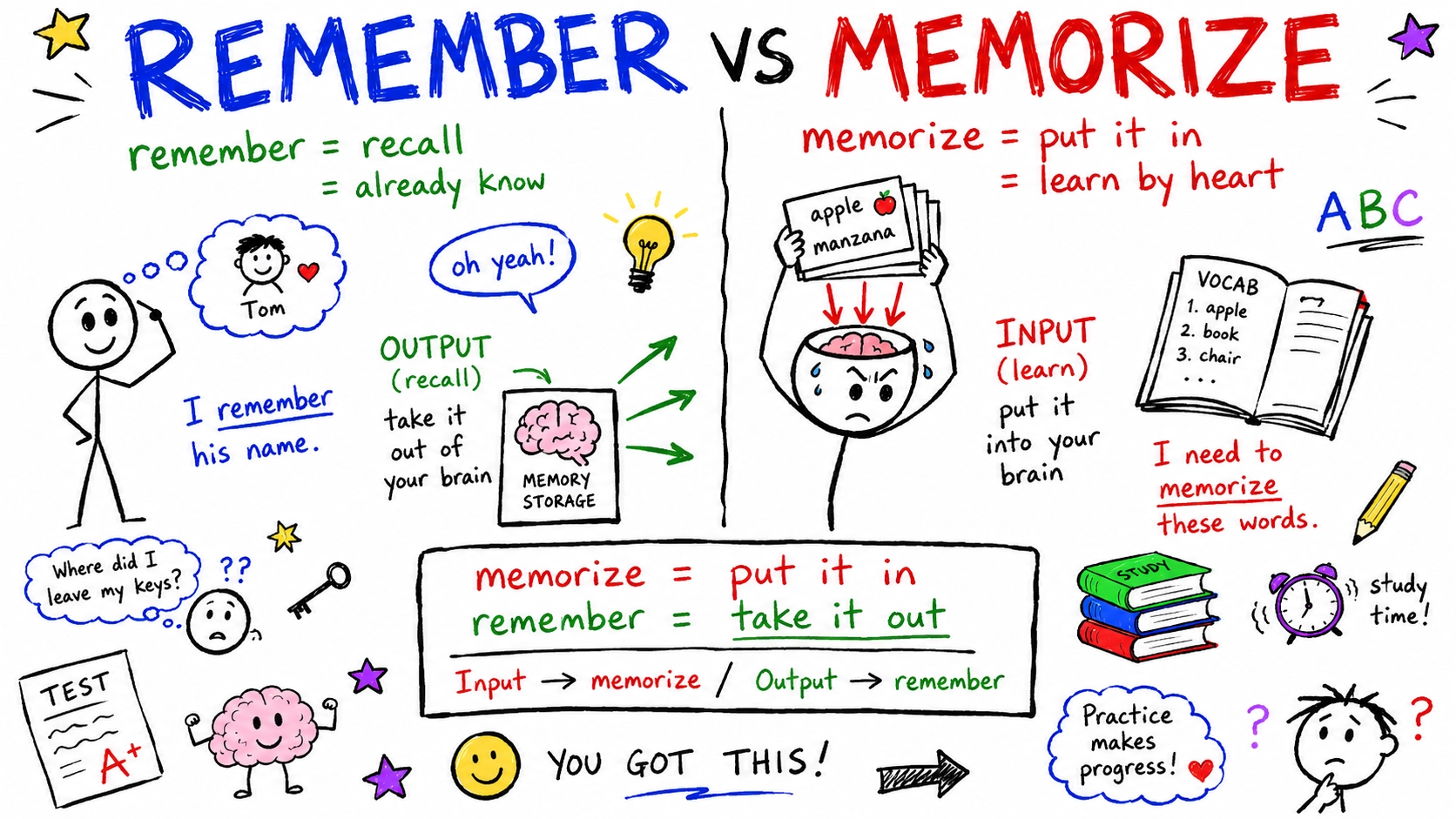 remember와 memorize 차이 — 기억하다 vs 암기하다